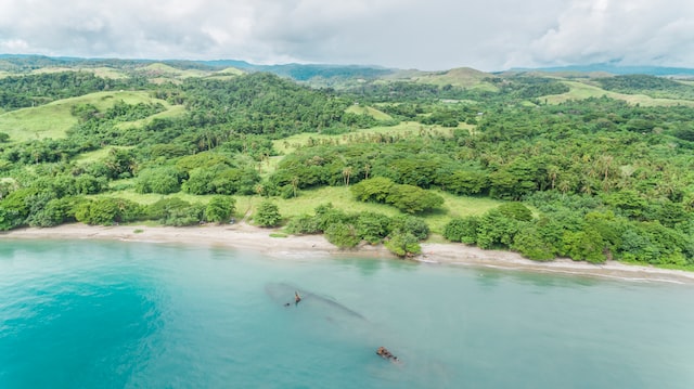 Guadalcanal dans les Îles Salomon