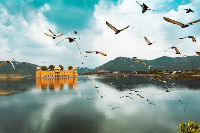 Jal Mahal en Inde