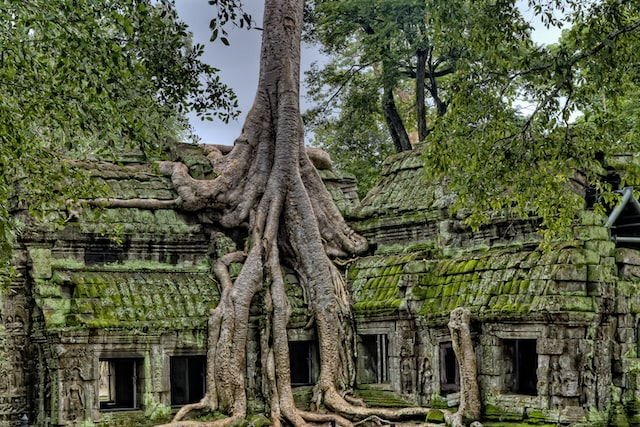 Krong Siem Reap au Cambodge