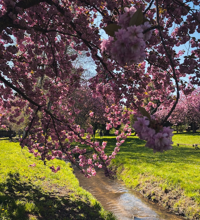 Parc naturel régional du Vexin