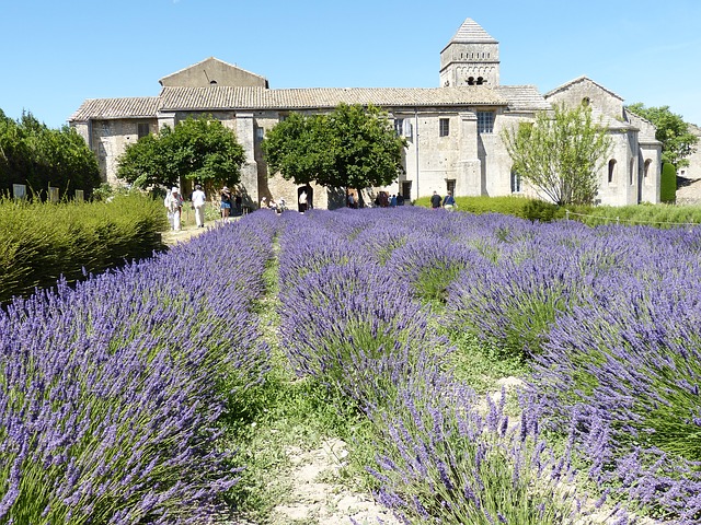 Saint-Rémy-de-Provence