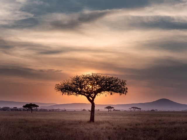 Serengeti en Tanzanie