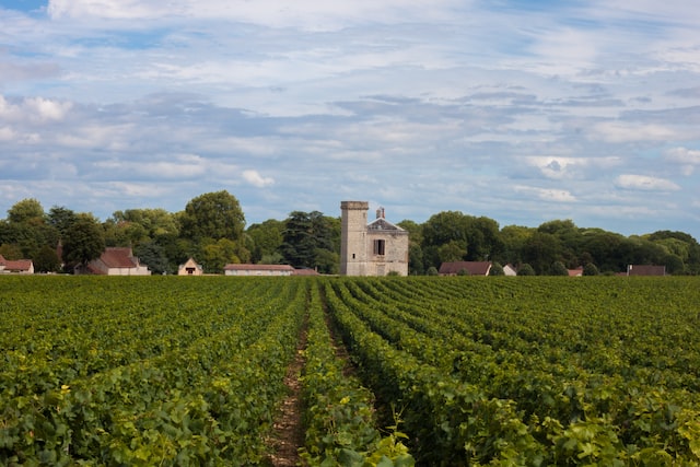 Vignobles de Bourgogne