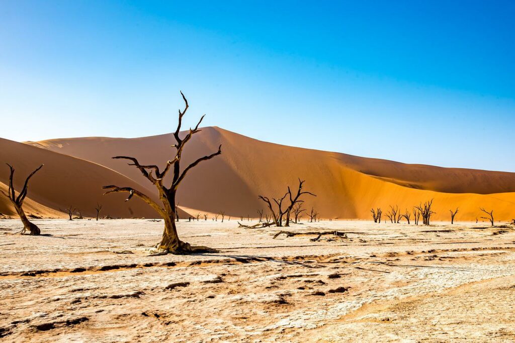 voyage en namibie