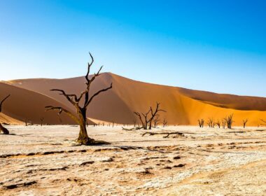 voyage en namibie