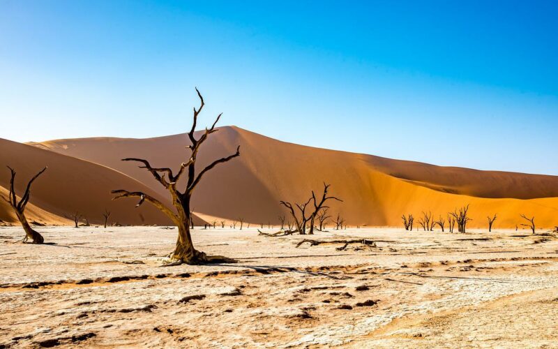 voyage en namibie