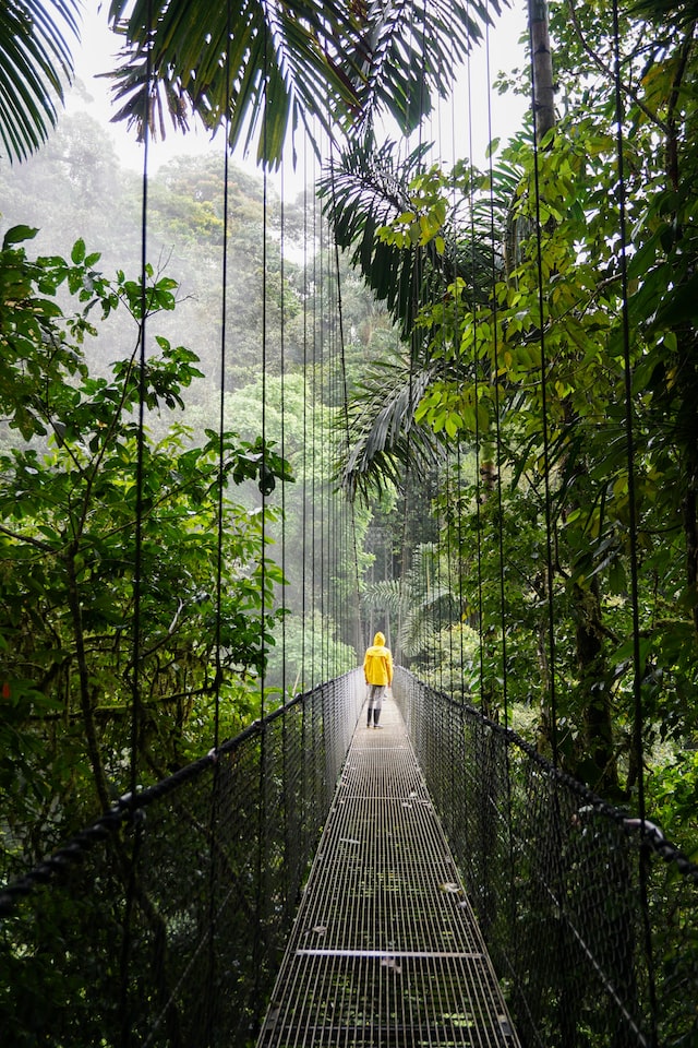 Alajuela San Carlos Costa Rica