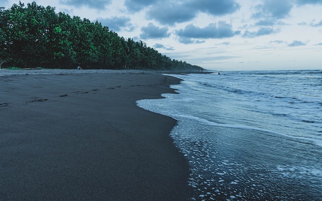 Plage de Tortuguero Costa Rica