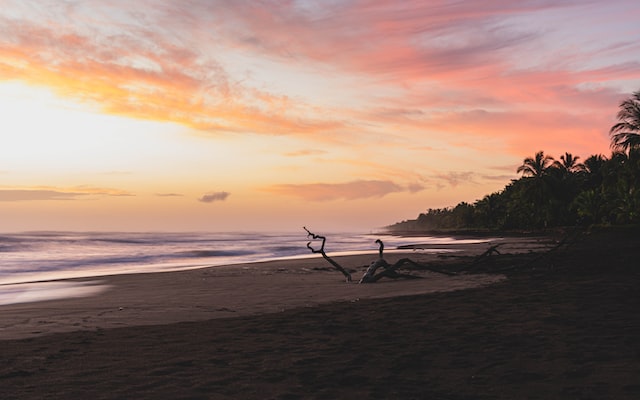 Tortuguero Costa Rica