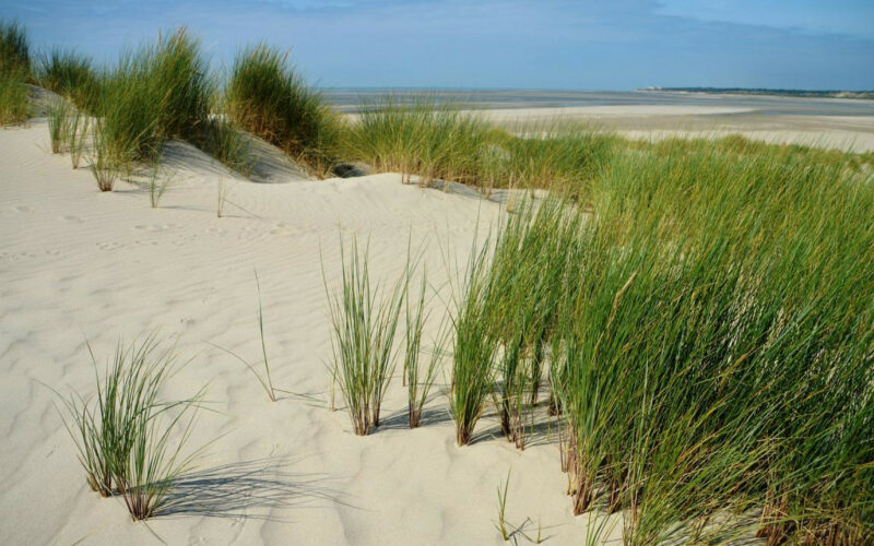 Organisez le meilleur des EVJF à Calais