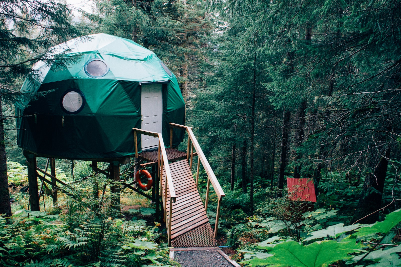 dormir dans un lodge dans les arbres