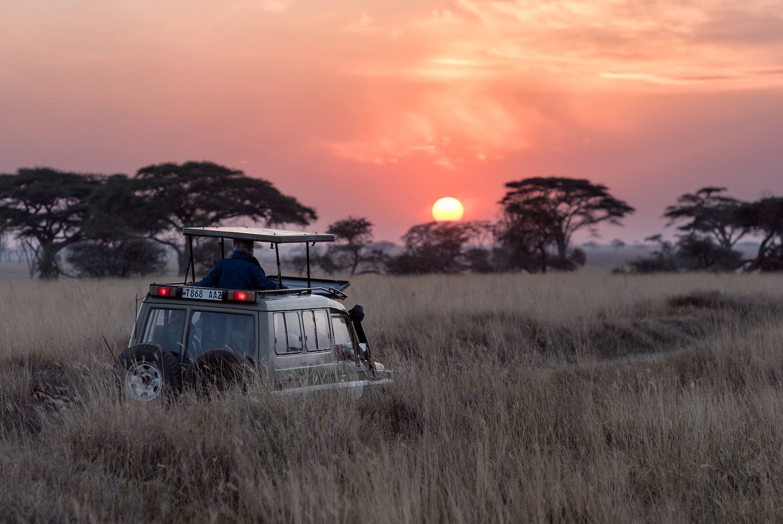 voyage insolite en Afrique