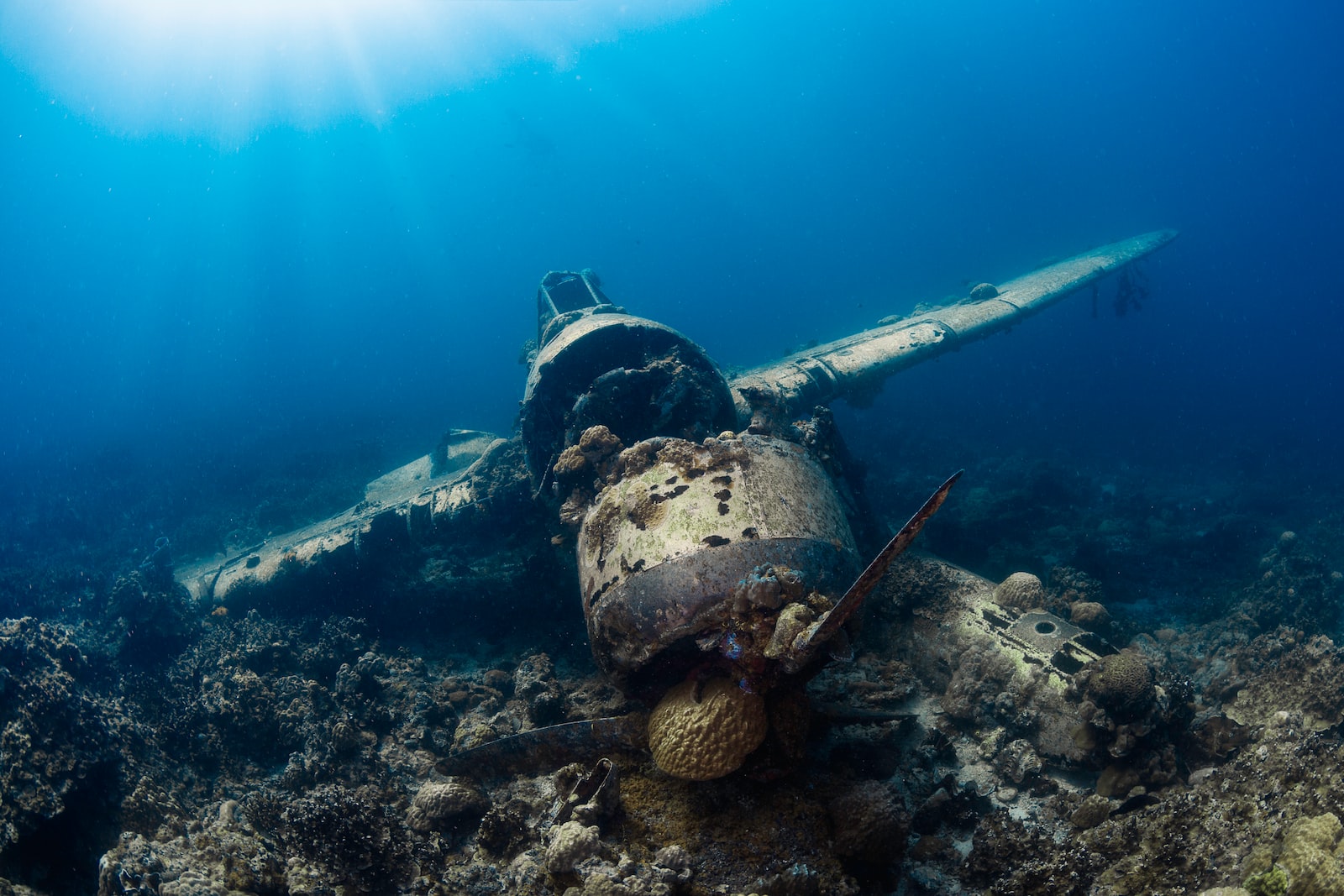 voyage insolite en Oceanie