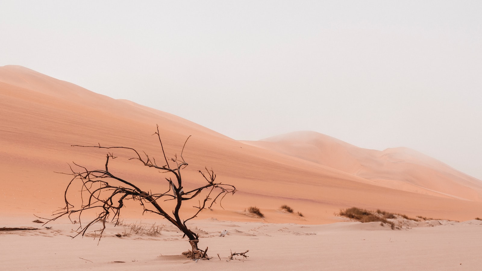 Sandwich Harbour en Namibie