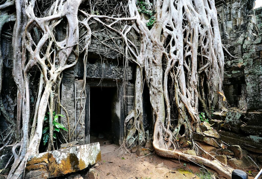 Temple d'Angkor